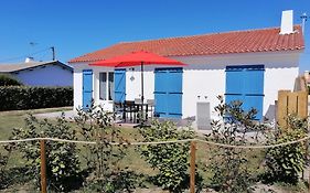 Le Barbatrin